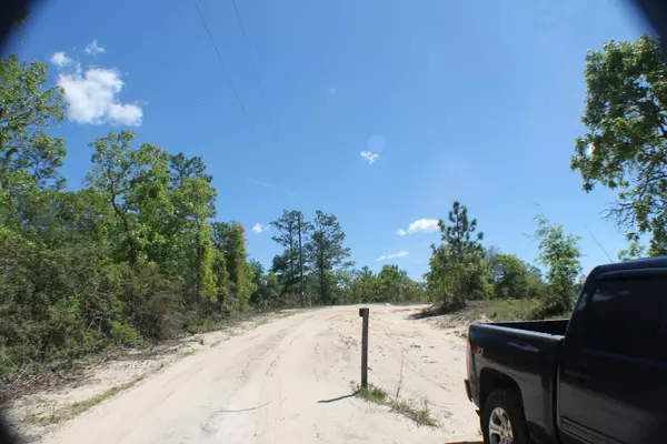 Crestview, FL 32536,23 AC Bear Creek Road