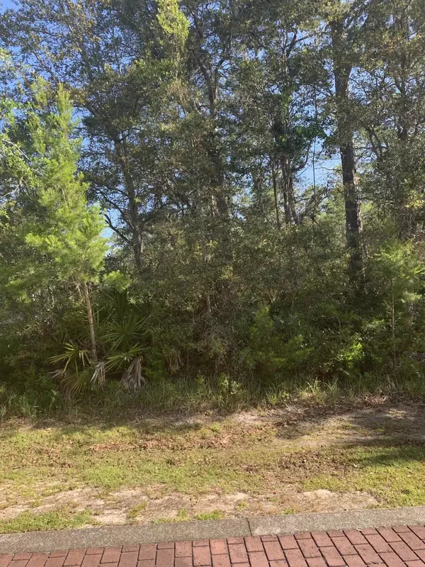 Point Washington, FL 32459,Lot 1 W Chrysler Avenue