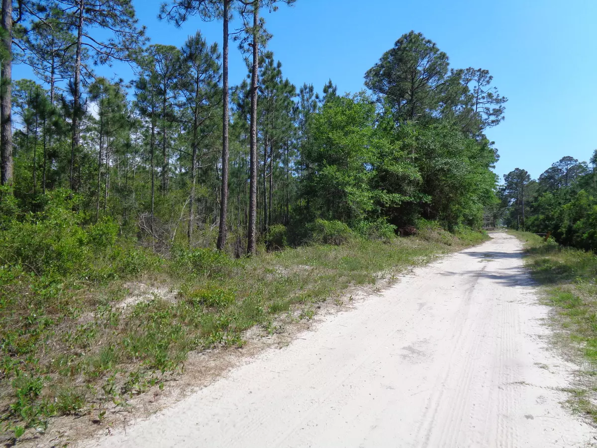 Santa Rosa Beach, FL 32459,TBD Old Blue Mountain Road