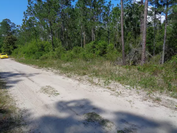 Santa Rosa Beach, FL 32459,TBD Old Blue Mountain Road