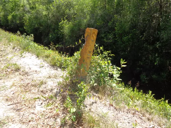 Santa Rosa Beach, FL 32459,TBD Old Blue Mountain Road