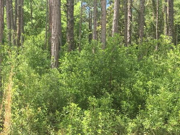 Lot 2 Bk E Delano Court, Santa Rosa Beach, FL 32459