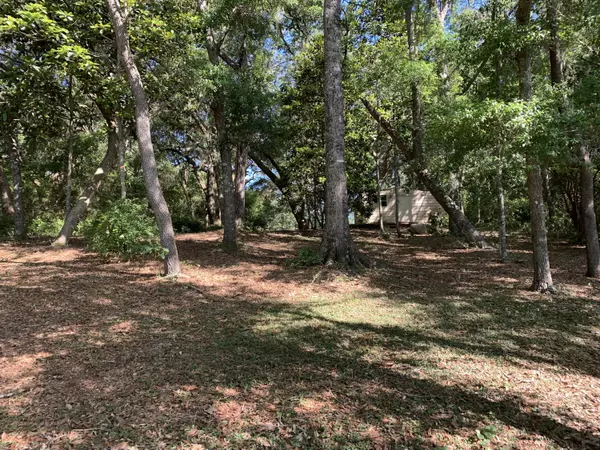 Defuniak Springs, FL 32433,Lot 15 Squirrel Road