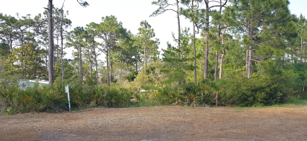 Santa Rosa Beach, FL 32459,Lot 13 Cobia Court