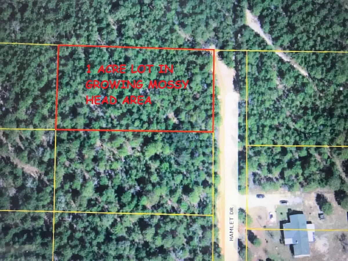 Defuniak Springs, FL 32433,L7B20 Hamlet Drive