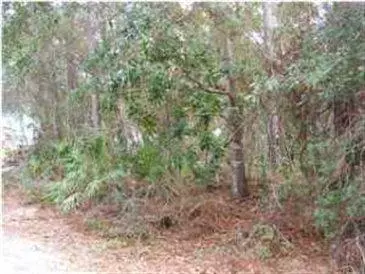 Lot 37 Cox Road, Santa Rosa Beach, FL 32459