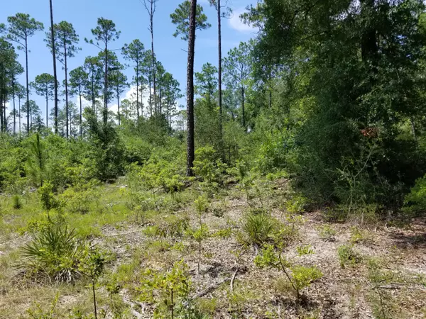 Mossy Head, FL 32434,49.2 Acres Hinote Road