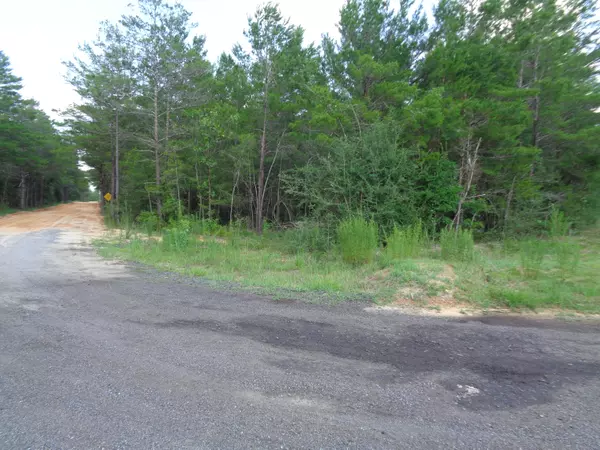 Defuniak Springs, FL 32433,1.46 ACRES WATSON RD