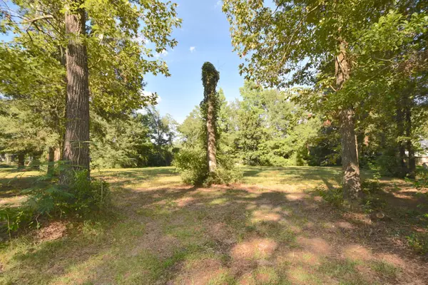 Crestview, FL 32536,Lot 15&16 Holley Drive