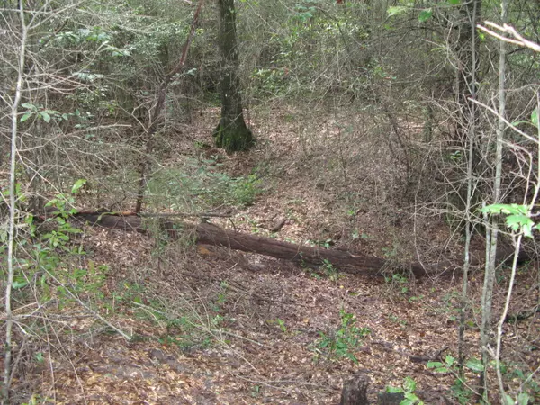 Marianna, FL 32446,5861 Elf Road