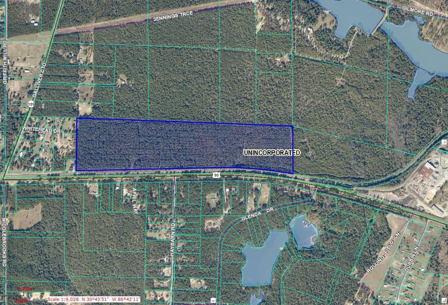 xxx 78 ac. Hwy. 90, West, Holt, FL 32564