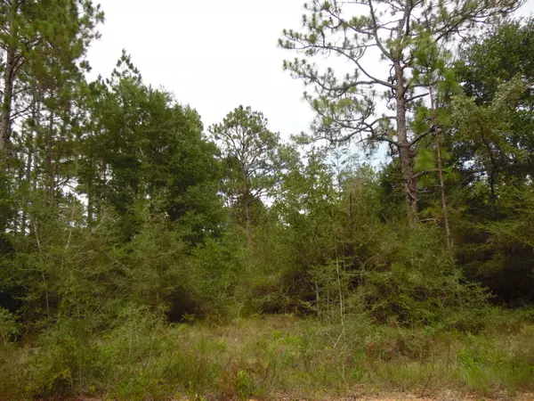 Defuniak Springs, FL 32433,10 acres Michigan Lane