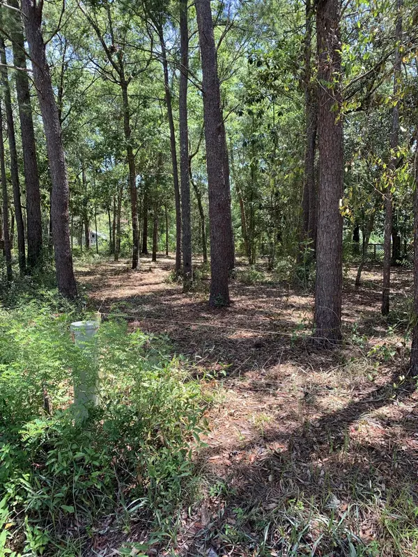 Lot 19 Ricker Avenue, Santa Rosa Beach, FL 32459