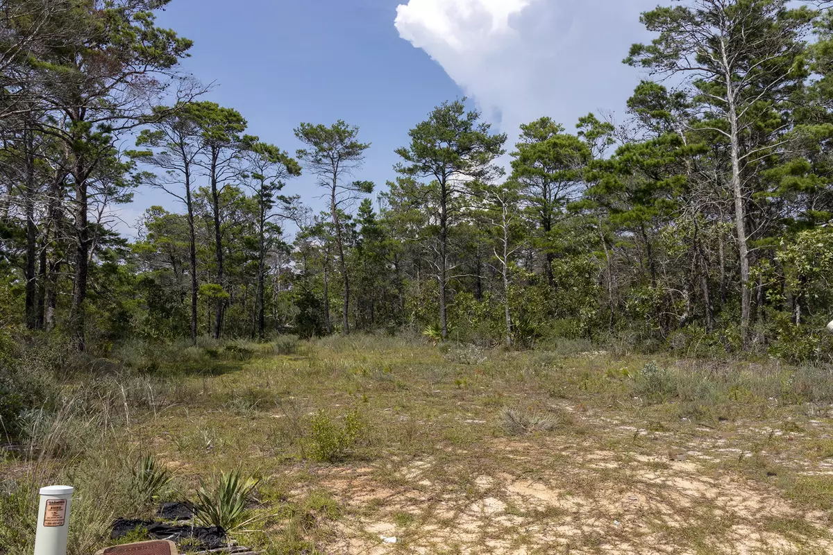 Santa Rosa Beach, FL 32459,Lot 8 Michaela Lane