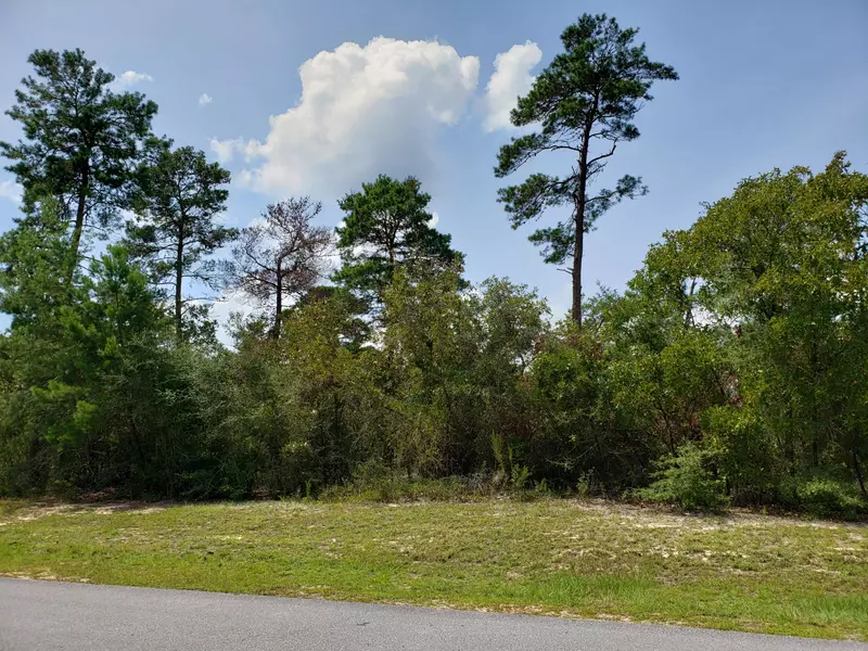 Lot 5 Tournament Lane, Freeport, FL 32439