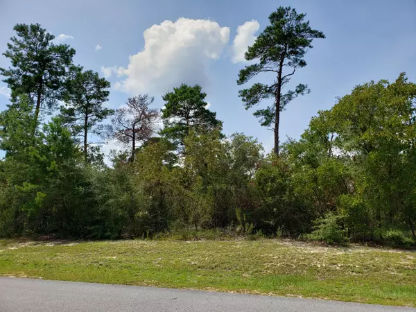 Lot 5 Tournament Lane, Freeport, FL 32439