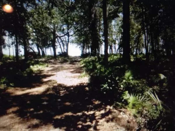 Santa Rosa Beach, FL 32459,Lot #20 Carolyn Lane