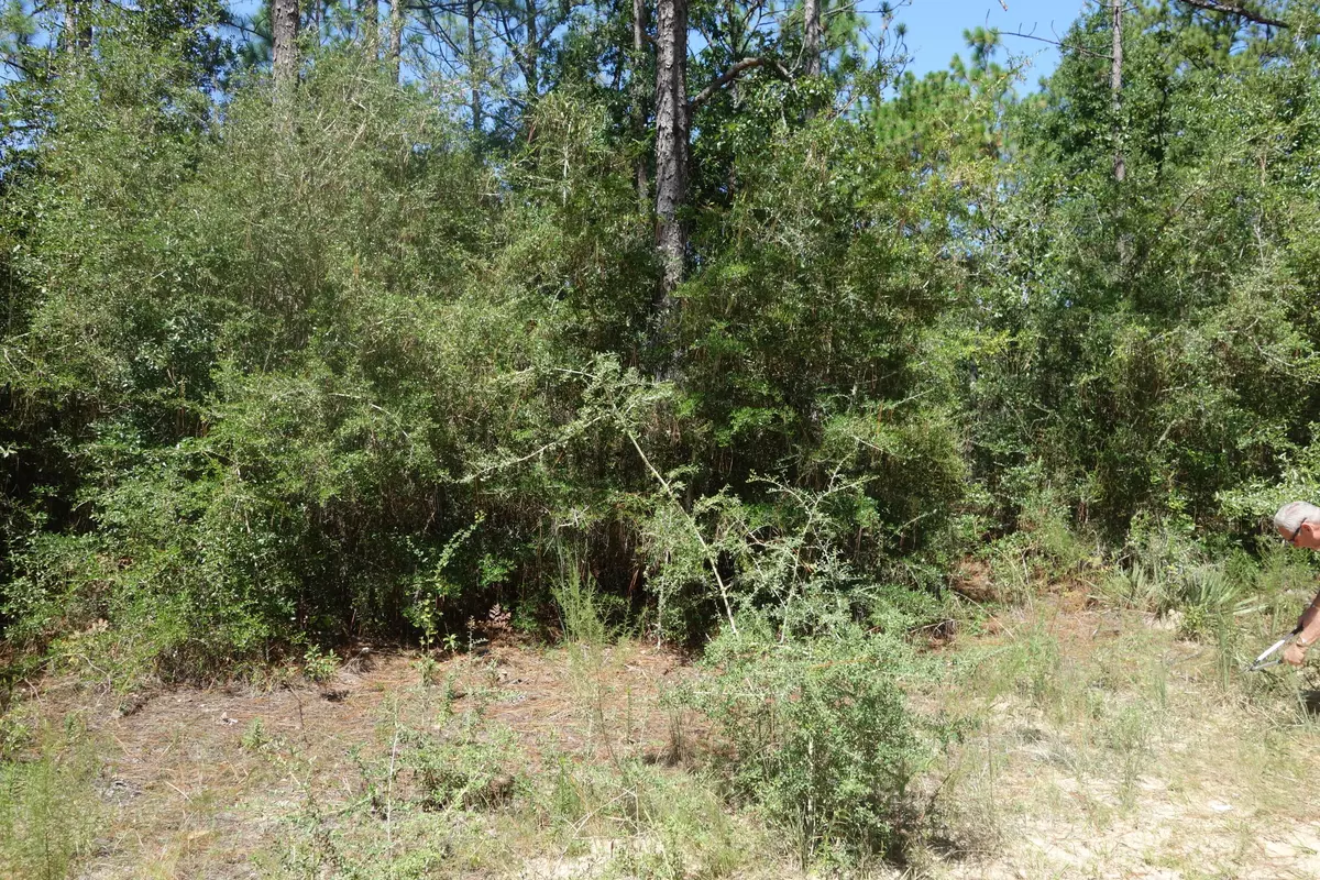 Defuniak Springs, FL 32433,Lot 14 Rene Road