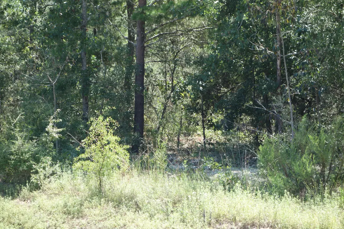 Defuniak Springs, FL 32433,Lot 24 Oakwood Lakes Boulevard