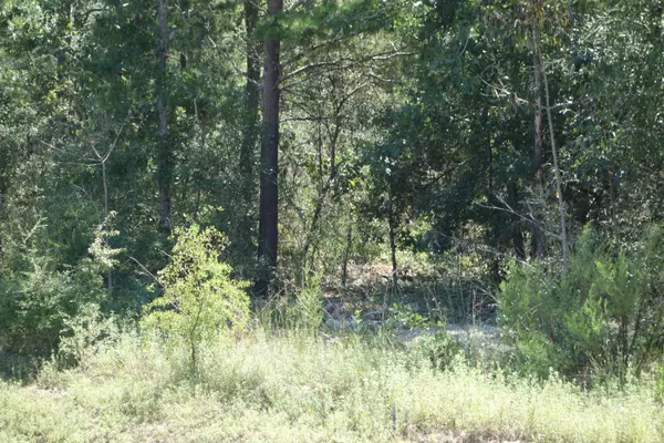 Lot 24 Oakwood Lakes Boulevard, Defuniak Springs, FL 32433