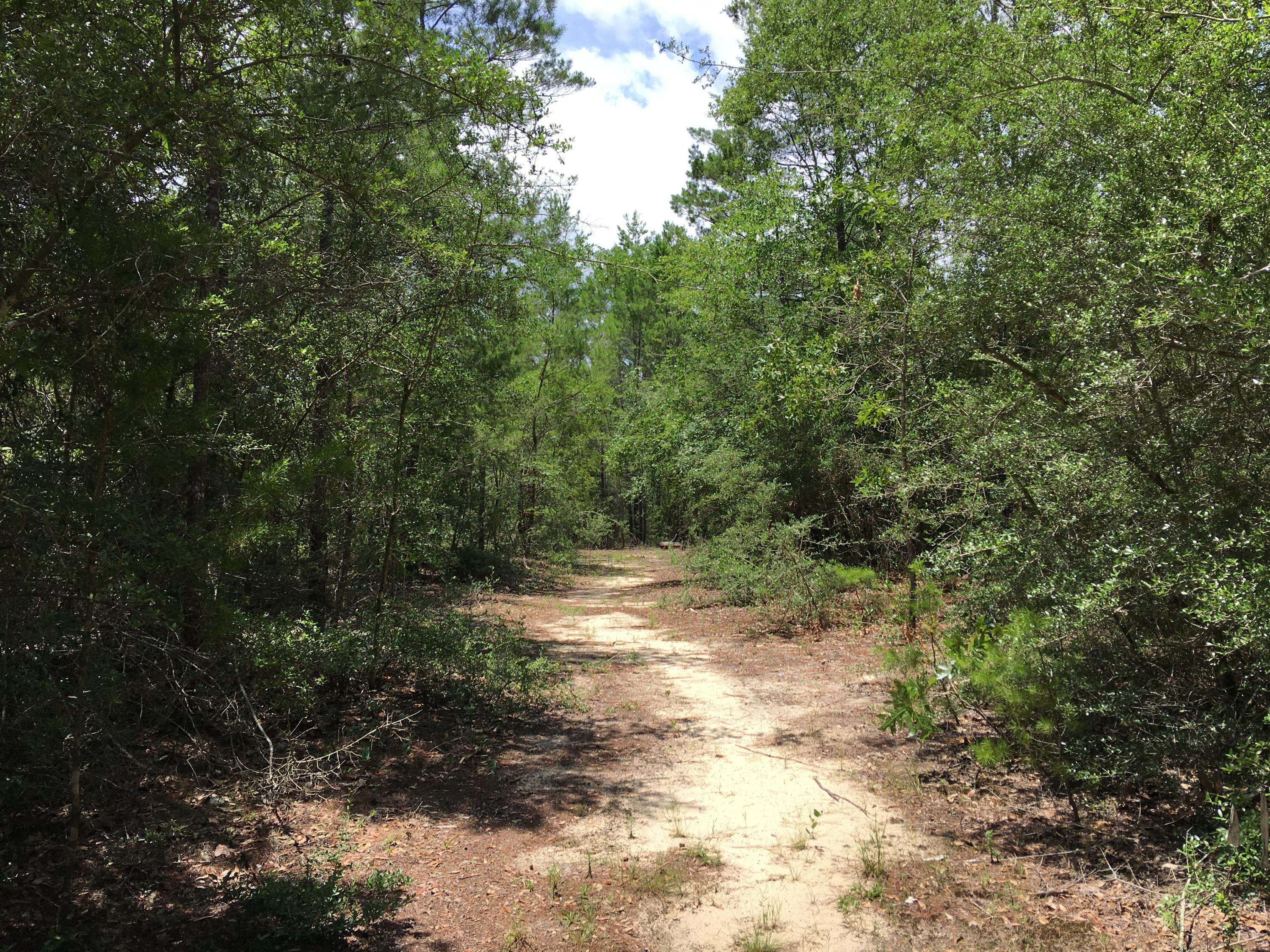 Defuniak Springs, FL 32433,4.3 Acres Seven Oaks Road