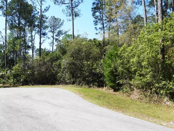 Santa Rosa Beach, FL 32459,Lot 1 Still Oaks Cv