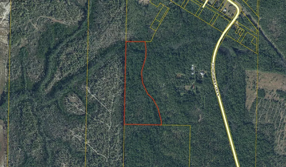 Defuniak Springs, FL 32435,25 AC off CO Hwy 183 S