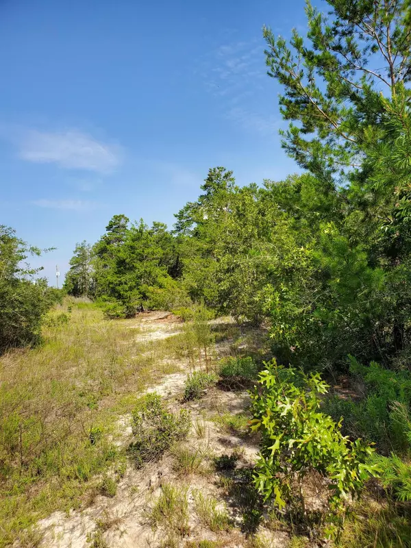 TBD Lot 15 Coastal Breeze Drive, Freeport, FL 32439