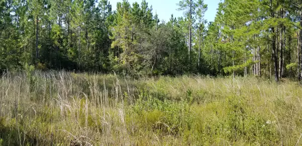 Freeport, FL 32439,Lot 14 Co Hwy 3280