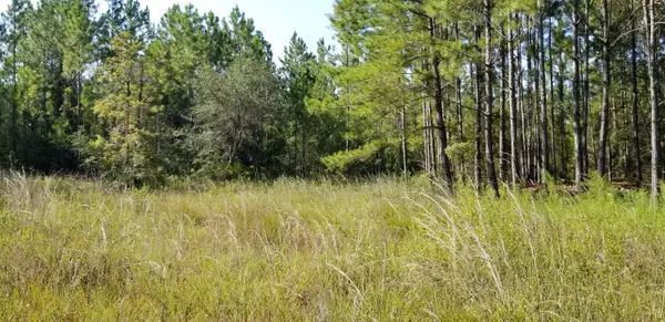 Freeport, FL 32439,Lot 14 Co Hwy 3280