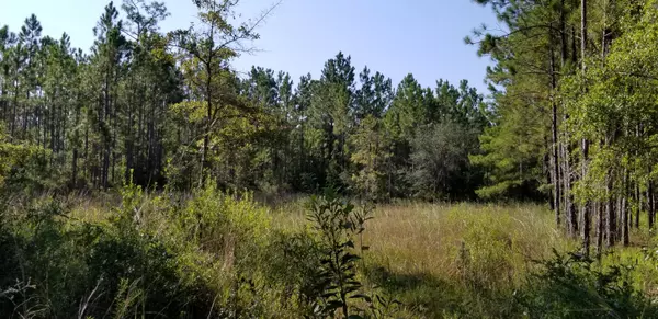 Freeport, FL 32439,Lot 14 Co Hwy 3280