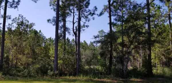 Freeport, FL 32439,Lot 14 Co Hwy 3280