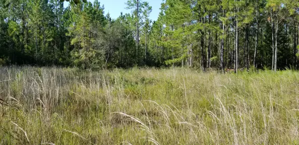 Freeport, FL 32439,Lot 14 Co Hwy 3280