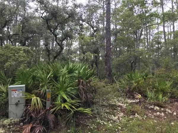 Freeport, FL 32439,Lot 30 CROSS CREEK Circle  #BLK C