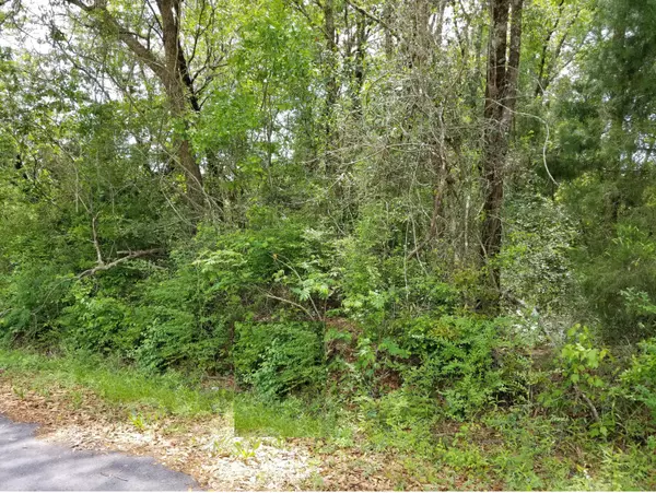 Crestview, FL 32539,Lots 54&55 Shoffner Avenue