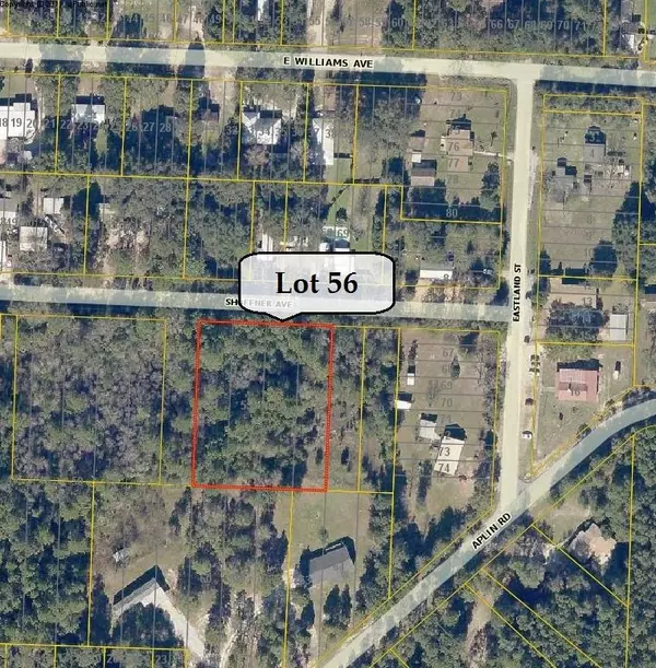 Crestview, FL 32539,Lots 56&57 Shoffner Avenue