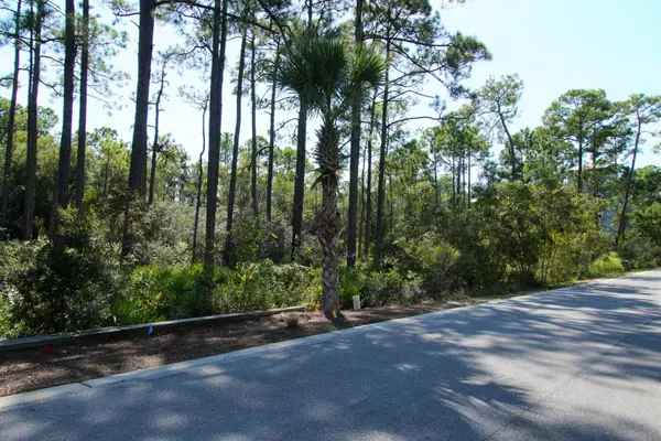 Seacrest, FL 32461,LOT 29 Redbud Lane