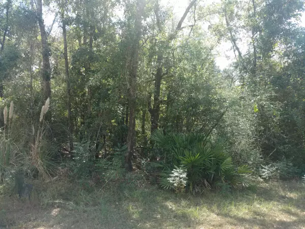 Freeport, FL 32439,Lot 7 Carol Drive