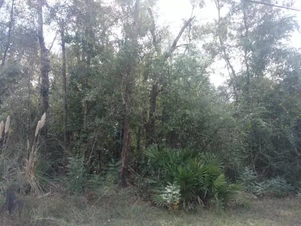 Freeport, FL 32439,Lot 7 Carol Drive