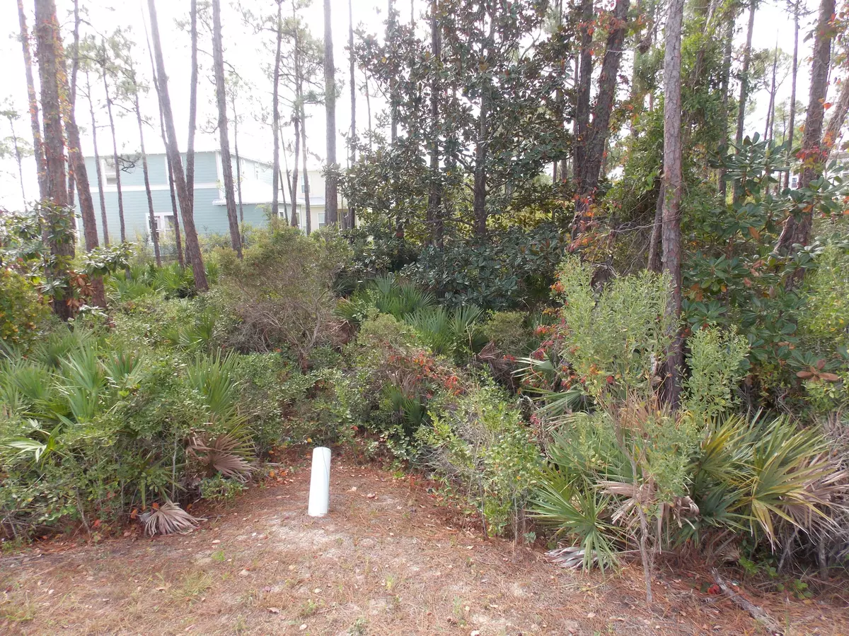 Miramar Beach, FL 32550,Lot 25 Shelleys Way