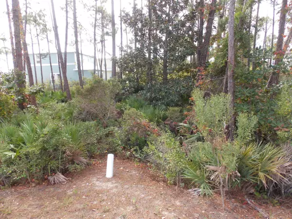 Lot 25 Shelleys Way, Miramar Beach, FL 32550