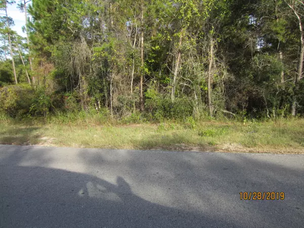 Lot 3 S Co Highway 393, Santa Rosa Beach, FL 32459