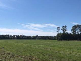 10 AC - D Griffith Mill Road, Holt, FL 32564