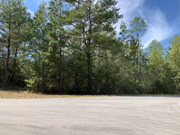 Defuniak Springs, FL 32433,Lot 1/93 Ponderosa Boulevard