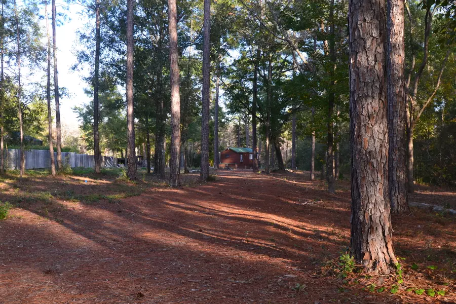 422 Phillips Drive, Freeport, FL 32439
