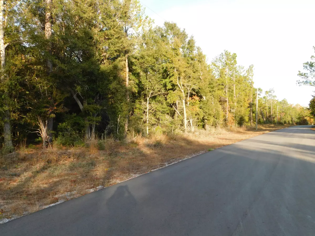 Crestview, FL 32536,7.3 AC-BH3 Bear Head Road