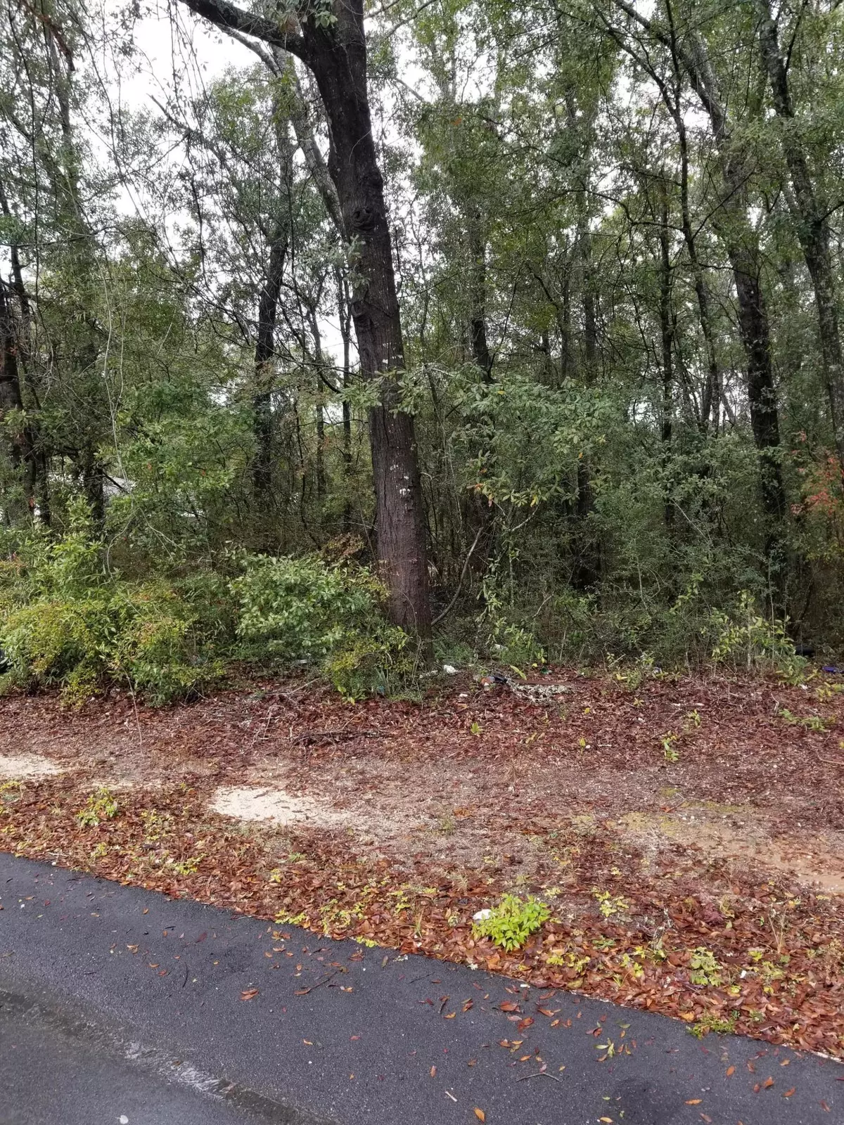 Crestview, FL 32536,TBD Grimes Avenue