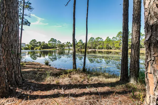 Santa Rosa Beach, FL 32459,LOT 4 Tresca Drive