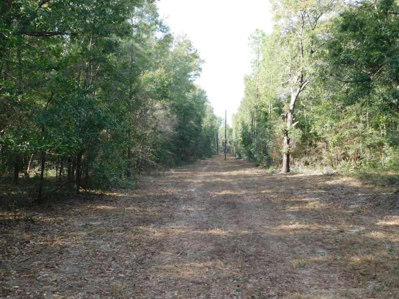 1.5AC Wilkerson Bluff Road, Holt, FL 32564