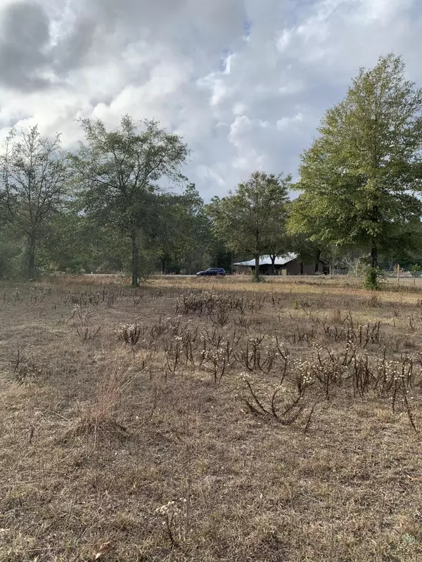 Defuniak Springs, FL 32433,Lot 10 Ruckel Drive